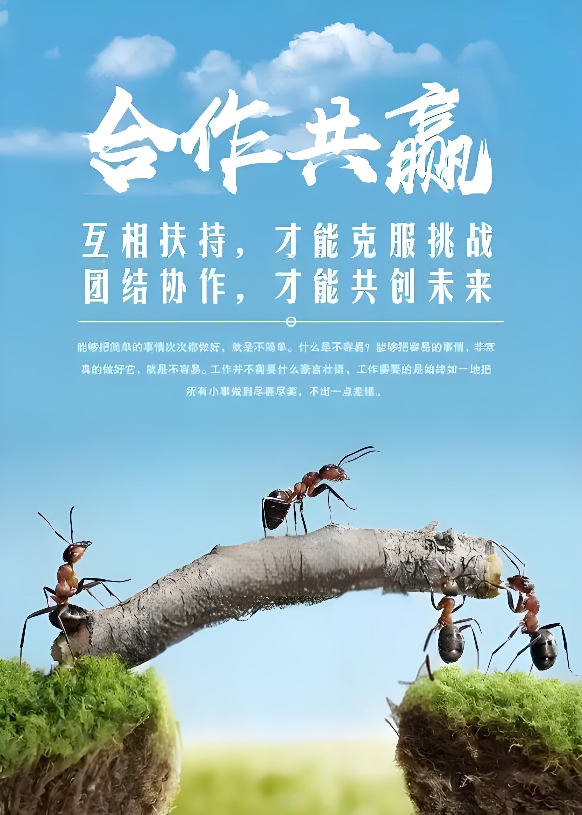 要角逐!两支劲旅决心拼搏一场的简单介绍 要角逐!两支劲旅决心拼搏一场的简单介绍