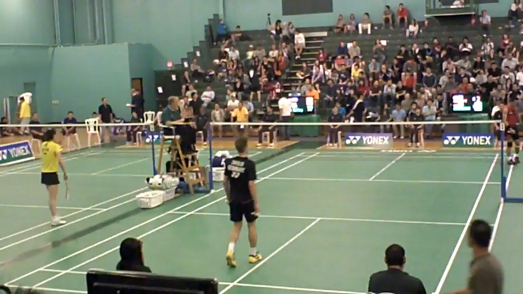 中国羽毛球队碾压韩国羽毛球队，陶菲克送出助攻的简单介绍