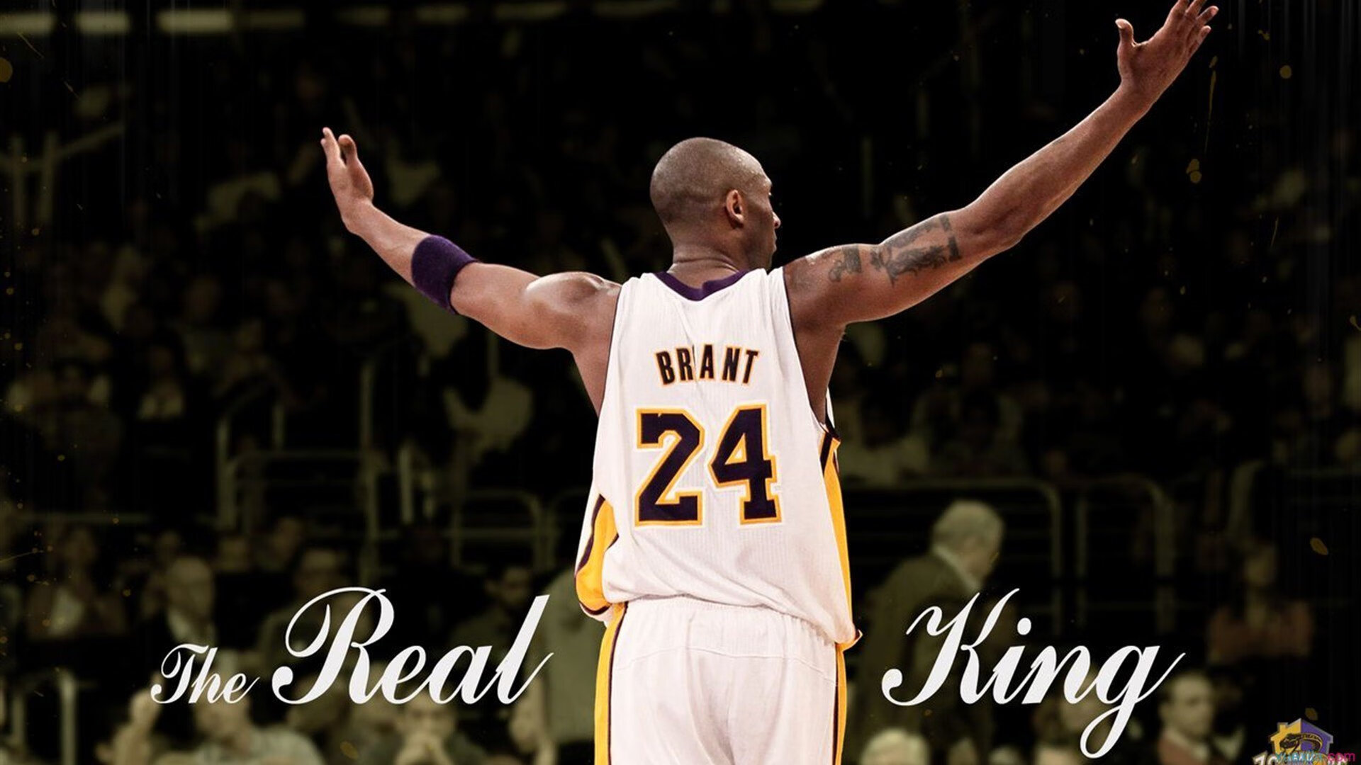 2026世界杯之夜，爱德华兹的完美交响曲