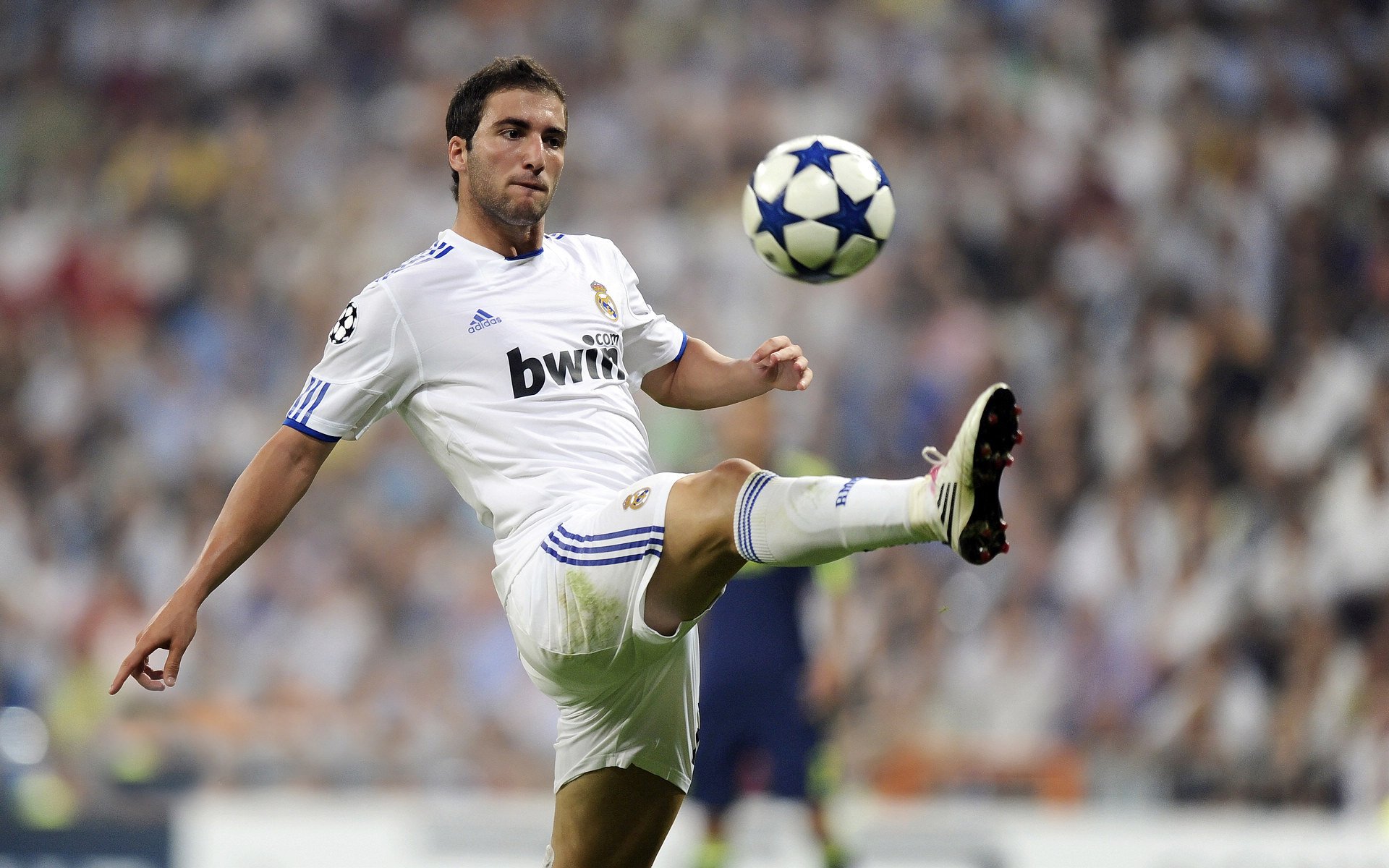 赛道与球场,当F1争冠焦点战遇上尼克斯终结广厦队